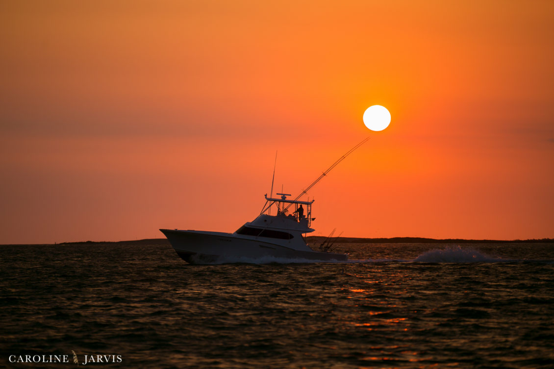 Offshore_Fishing_Sea_Creature_June7_2018-June 07, 2018132