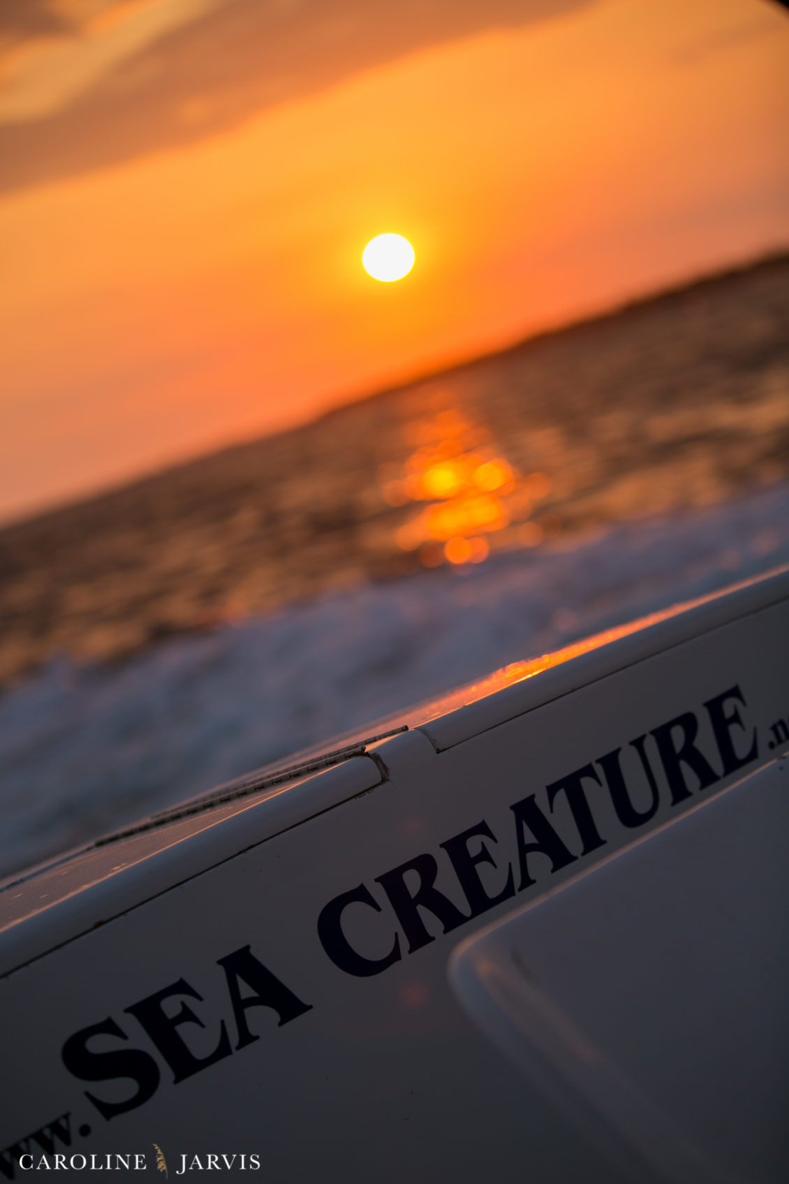 Offshore_Fishing_Sea_Creature_June7_2018-June 07, 2018171