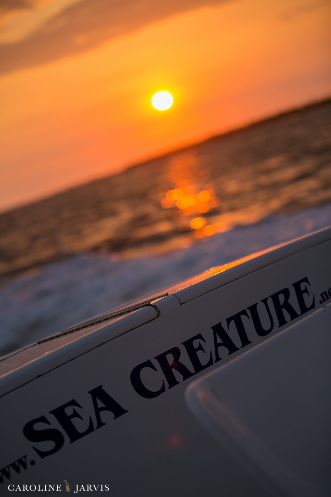 Offshore_Fishing_Sea_Creature_June7_2018-June 07, 2018173