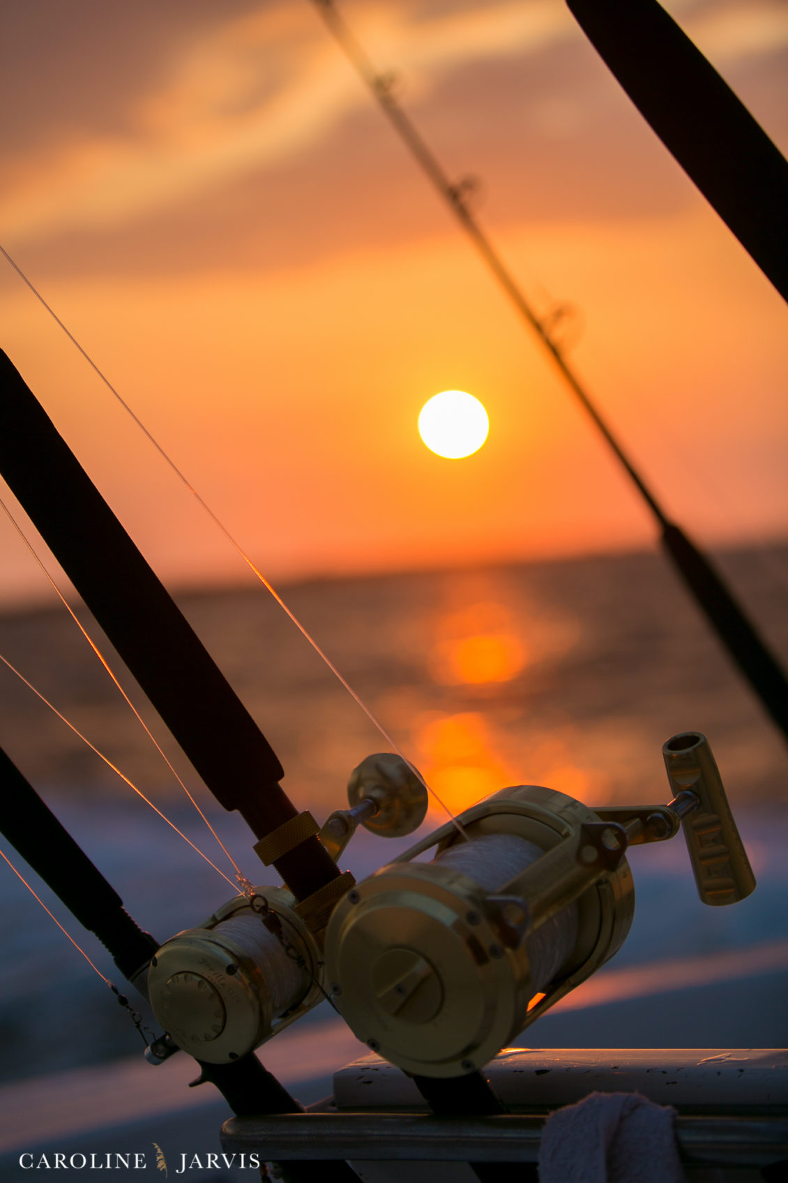 Offshore_Fishing_Sea_Creature_June7_2018-June 07, 2018185