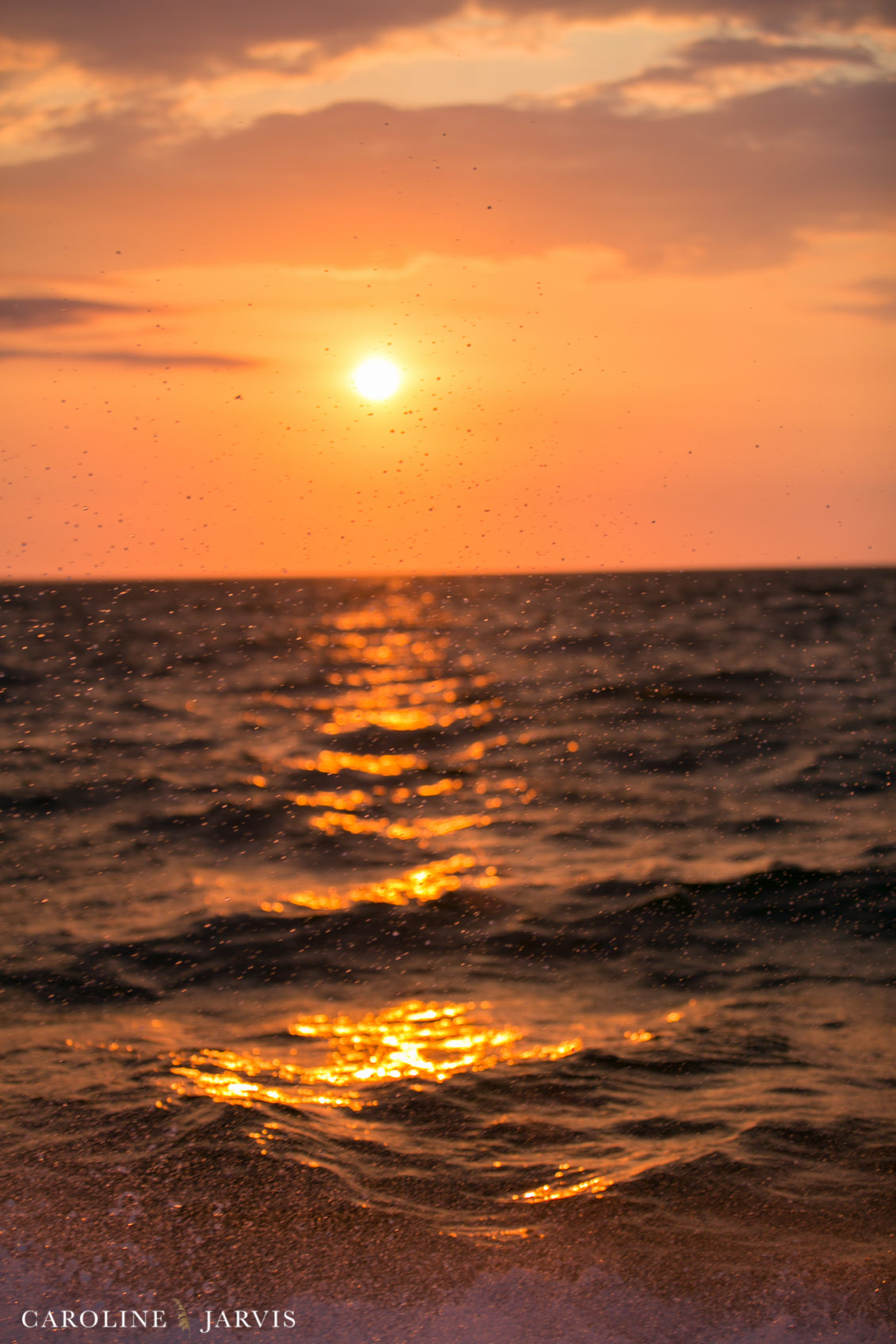 Offshore_Fishing_Sea_Creature_June7_2018-June 07, 2018203