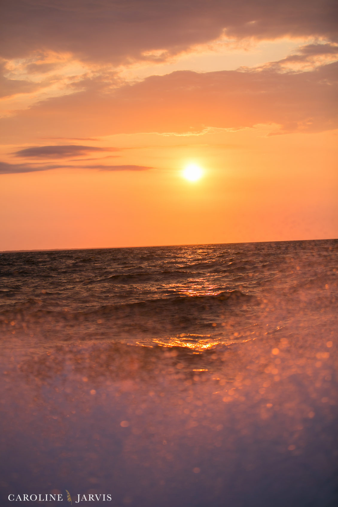 Offshore_Fishing_Sea_Creature_June7_2018-June 07, 2018207