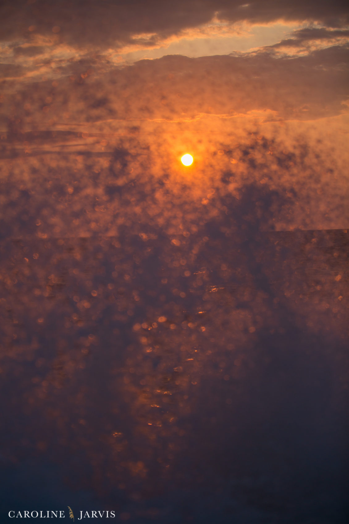 Offshore_Fishing_Sea_Creature_June7_2018-June 07, 2018225