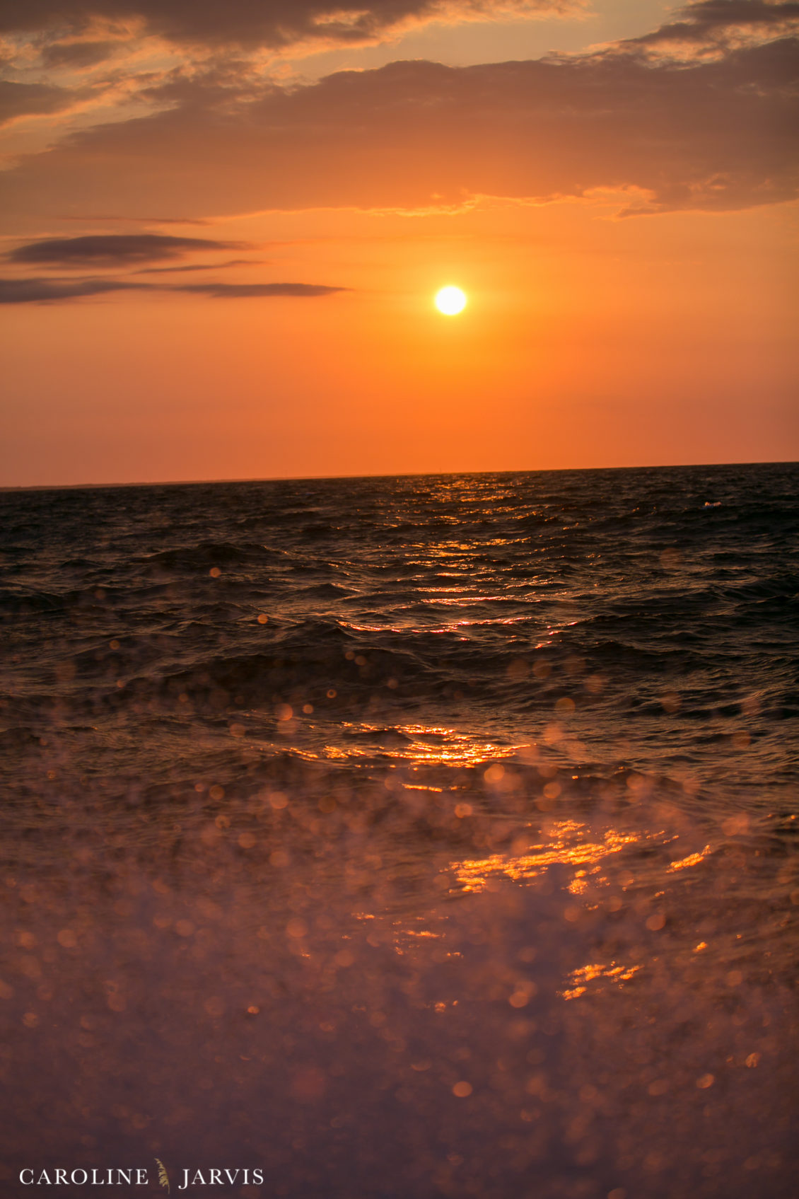 Offshore_Fishing_Sea_Creature_June7_2018-June 07, 2018238