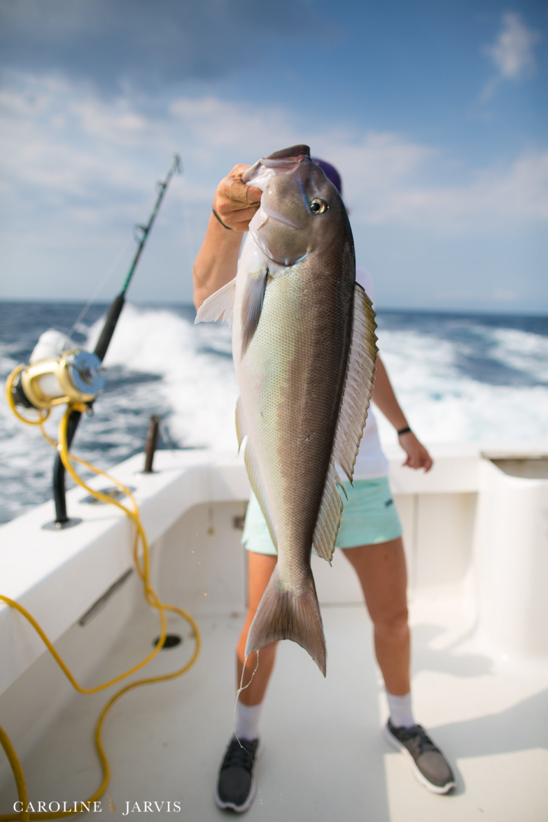 Offshore_Fishing_Sea_Creature_June7_2018-June 07, 2018392