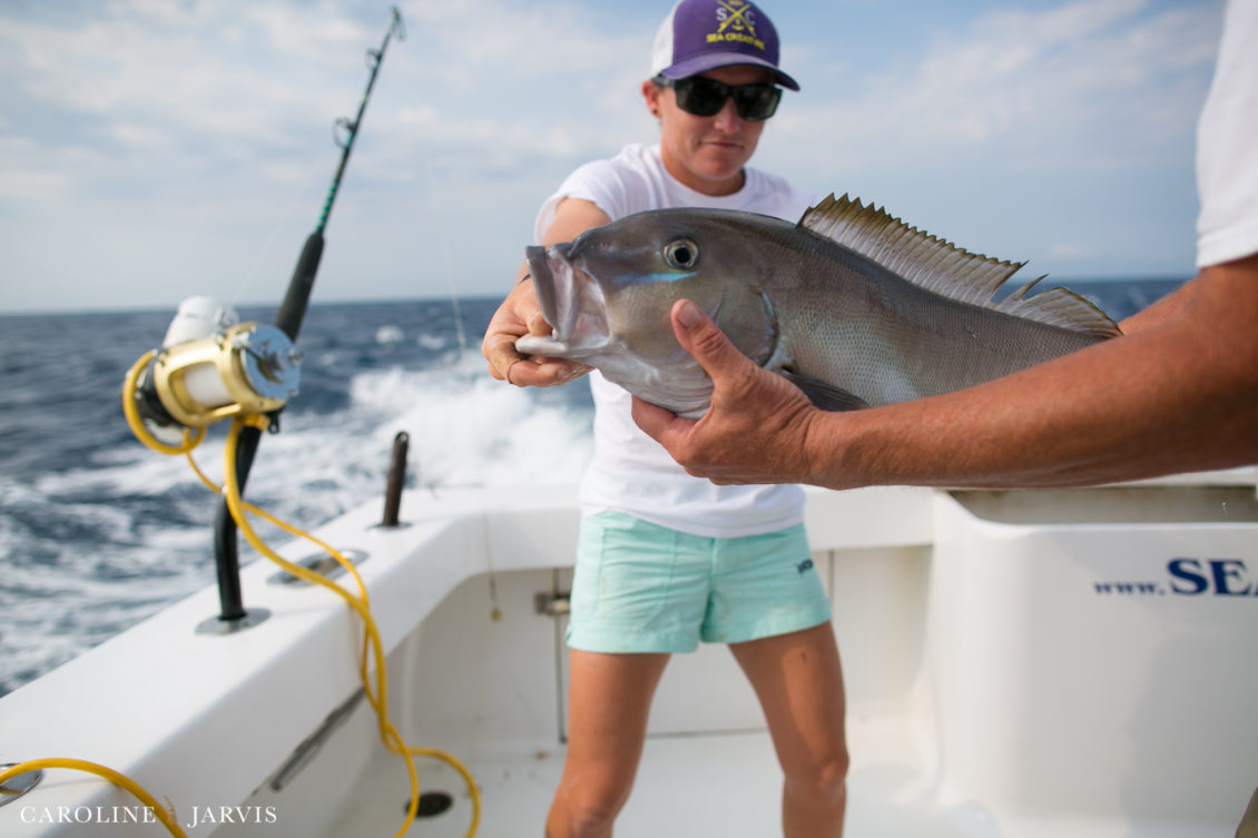 Offshore_Fishing_Sea_Creature_June7_2018-June 07, 2018402