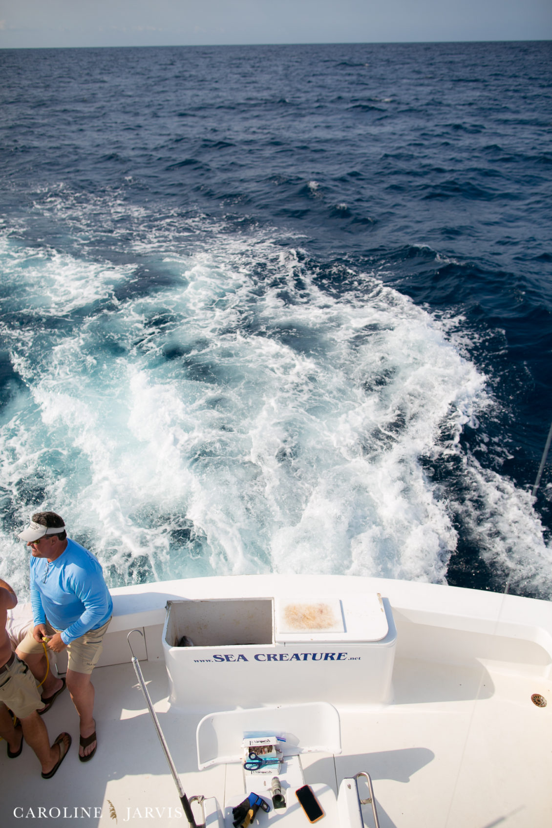 Offshore_Fishing_Sea_Creature_June7_2018-June 07, 2018426