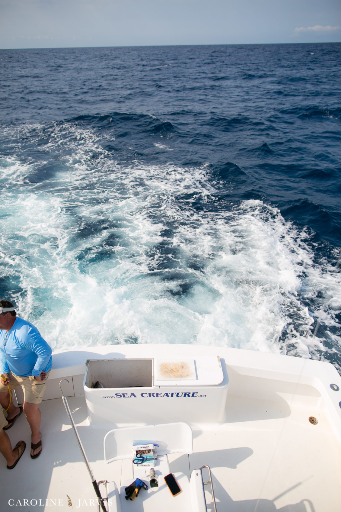 Offshore_Fishing_Sea_Creature_June7_2018-June 07, 2018428