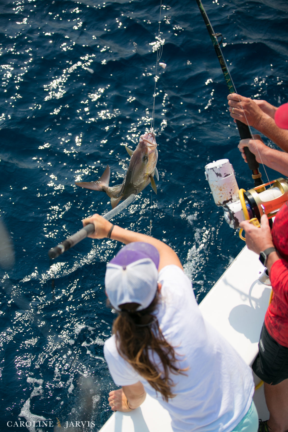 Offshore_Fishing_Sea_Creature_June7_2018-June 07, 2018492