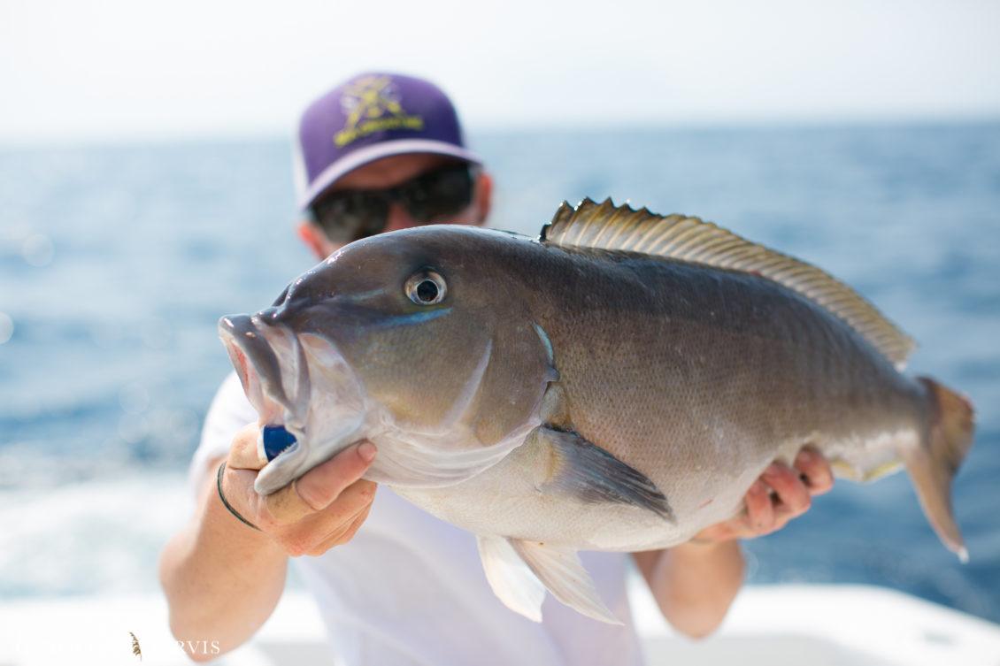 Offshore_Fishing_Sea_Creature_June7_2018-June 07, 2018558