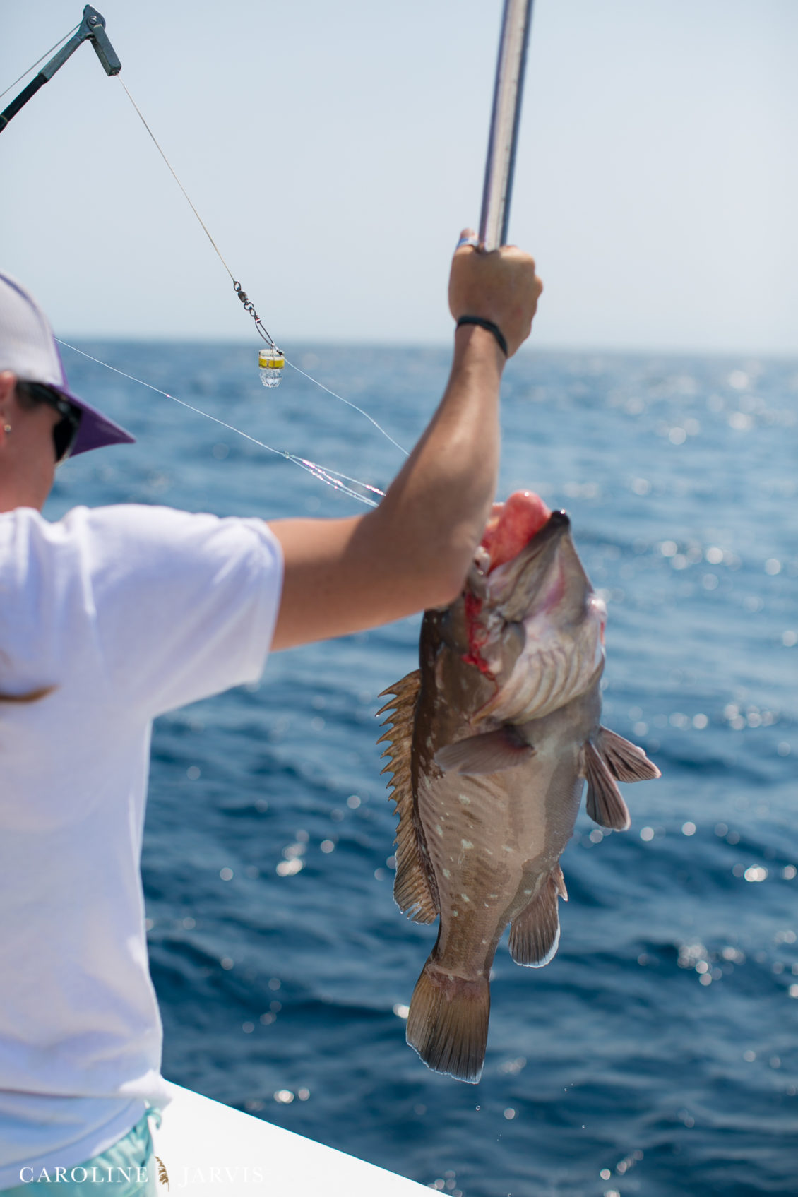 Offshore_Fishing_Sea_Creature_June7_2018-June 07, 2018591