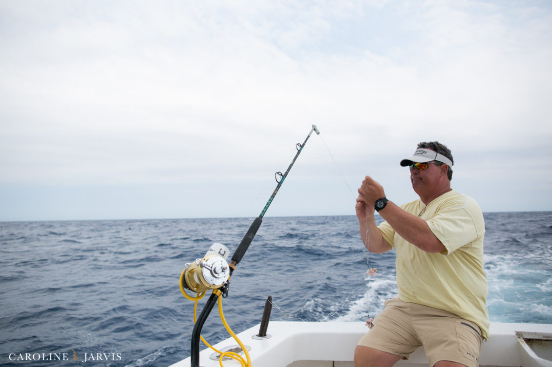 Offshore_Fishing_Sea_Creature_June7_2018-June 07, 2018600