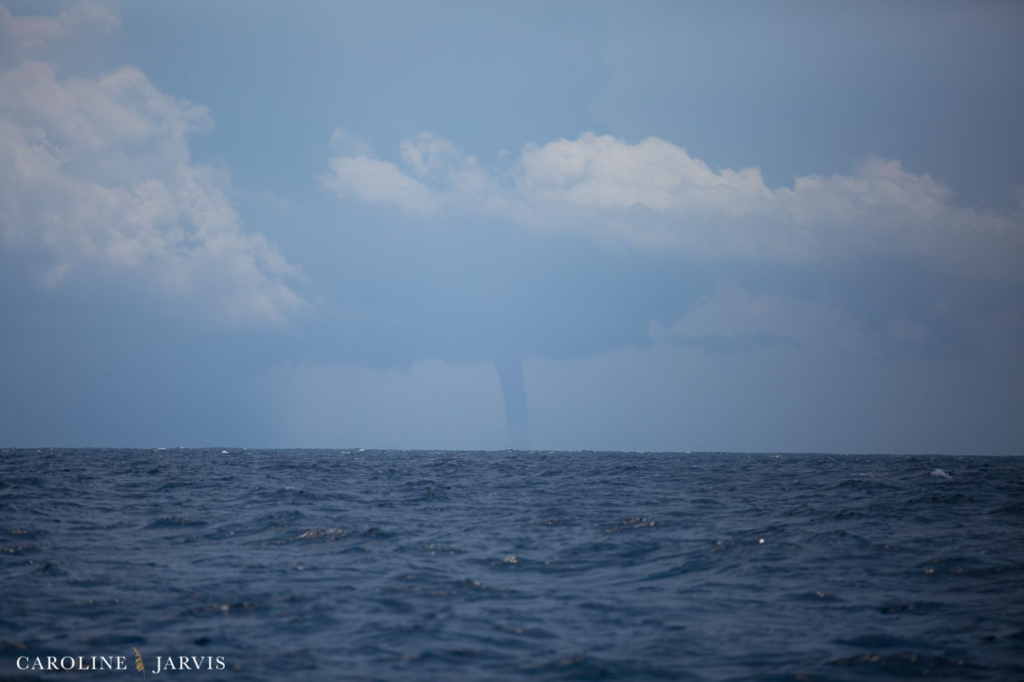 Offshore_Fishing_Sea_Creature_June7_2018-June 07, 2018700