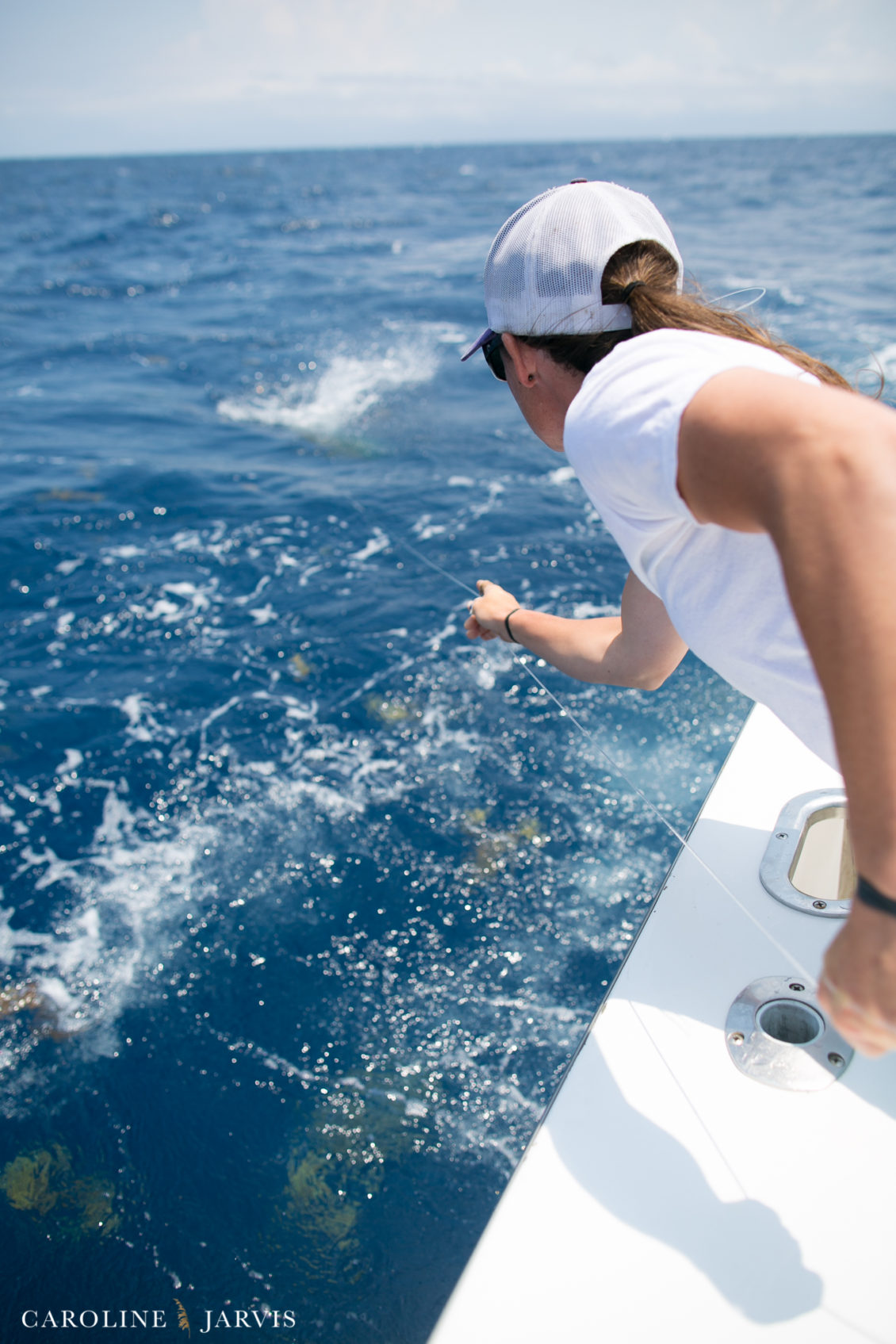 Offshore_Fishing_Sea_Creature_June7_2018-June 07, 2018725