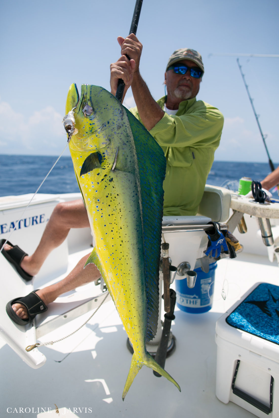 Offshore_Fishing_Sea_Creature_June7_2018-June 07, 2018750