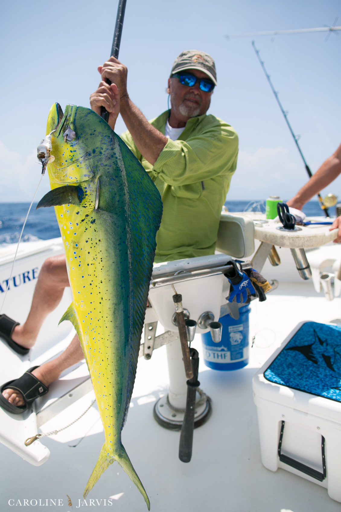 Offshore_Fishing_Sea_Creature_June7_2018-June 07, 2018754