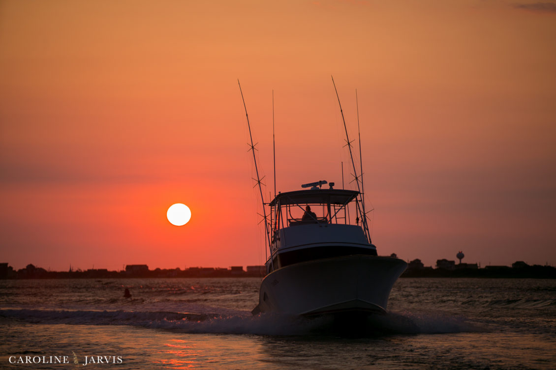 Offshore_Fishing_Sea_Creature_June7_2018-June 07, 201881