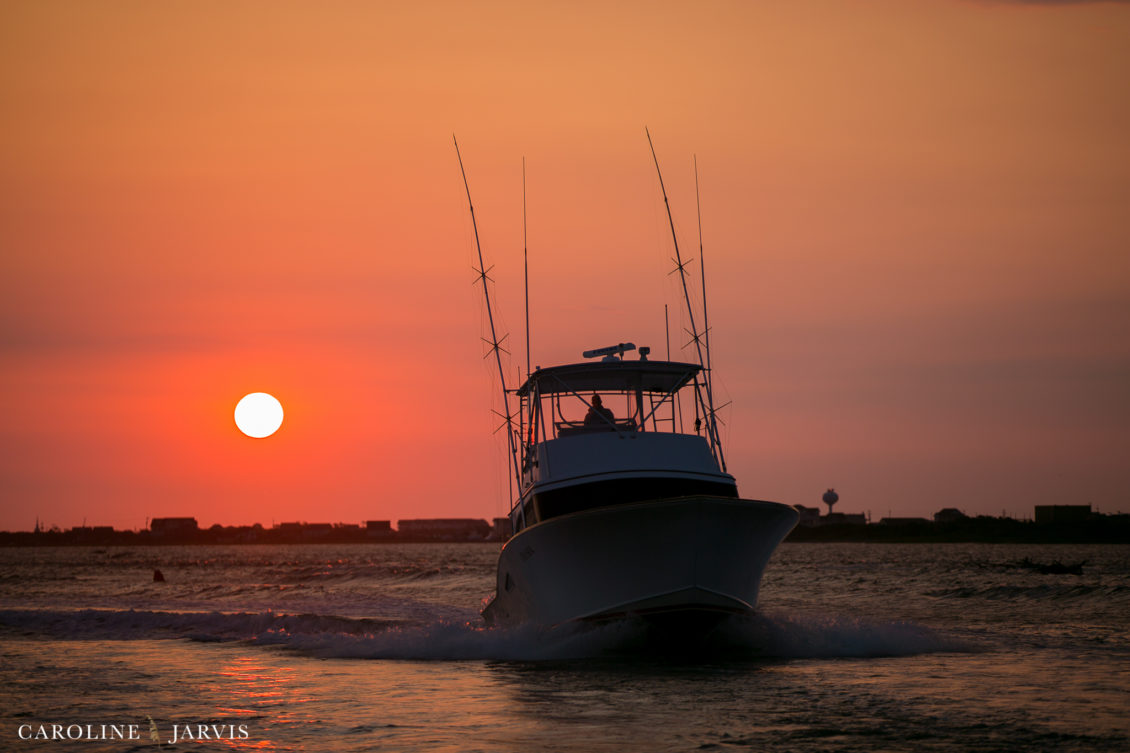 Offshore_Fishing_Sea_Creature_June7_2018-June 07, 201882