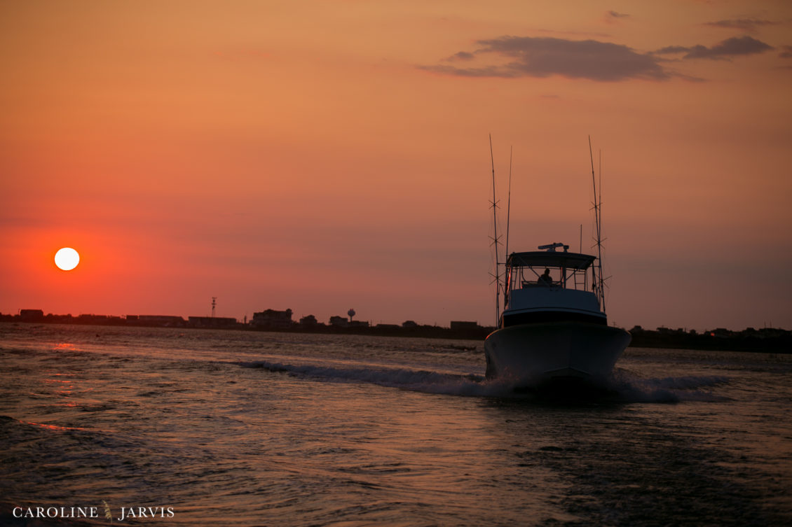 Offshore_Fishing_Sea_Creature_June7_2018-June 07, 201887