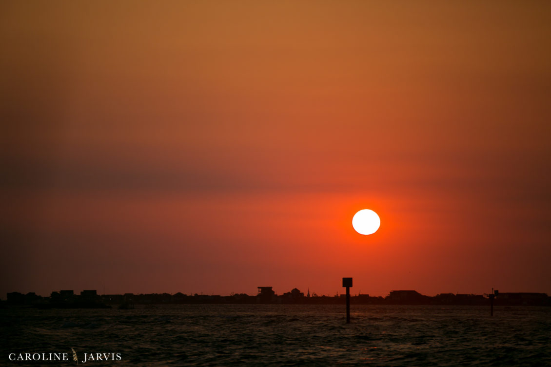 Offshore_Fishing_Sea_Creature_June7_2018-June 07, 201894