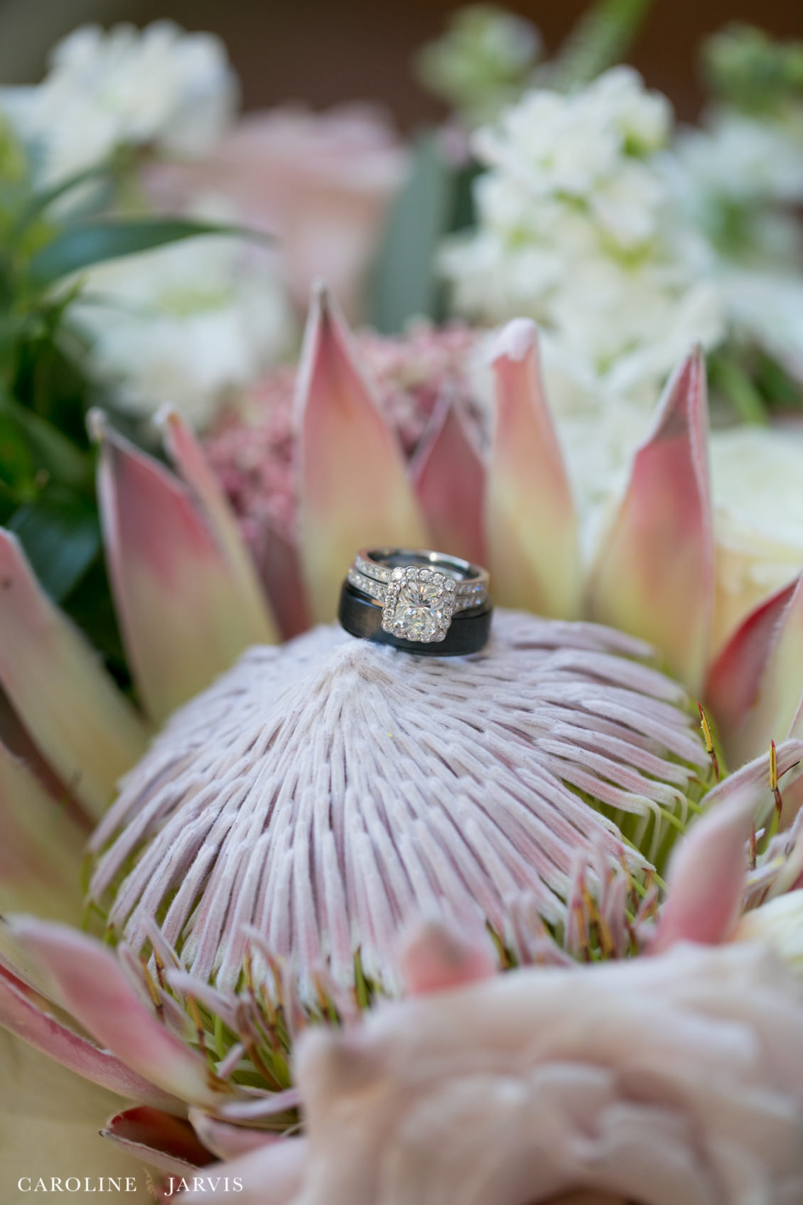 Koru_Beach_Klub_Wedding_by_Caroline_Jarvis_Photography_Cortney_Chris1-September 08, 201821